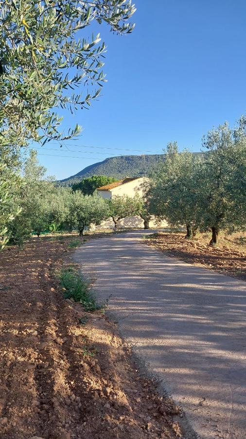 Casa Rural Cal Marti El Pla de Manlleu Exterior foto